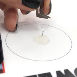 VOLUME BUBBLE