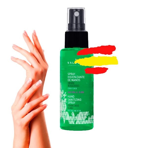 DESINFECTANTE DE MANOS HIDROALCOHOLICO SPRAY 100 ML