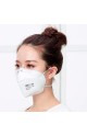 Mascarilla N95 FFP2 PAck 10 uds
